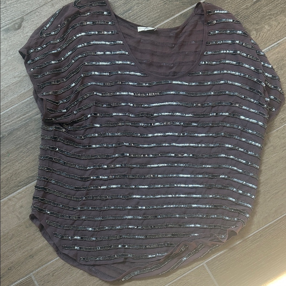 Joie Mauve and Silver Sequin Sheet Striped Short Sleeve Top